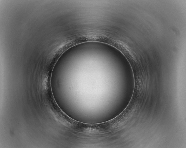 X0000111190596200907081258