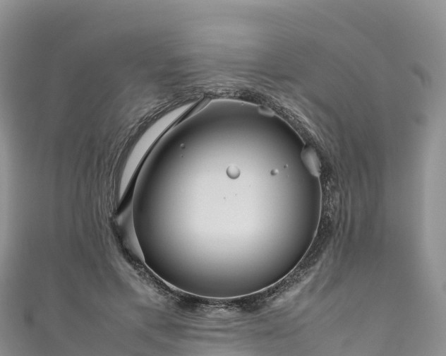 X0000111190597200907081257