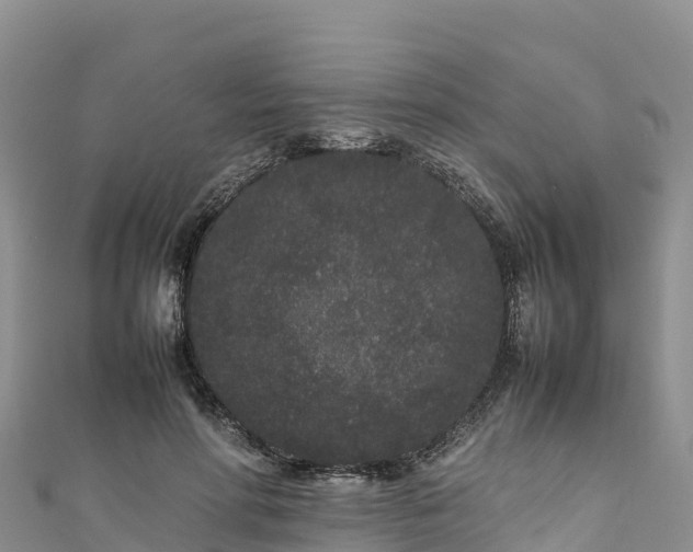 X0000111190598200907081257