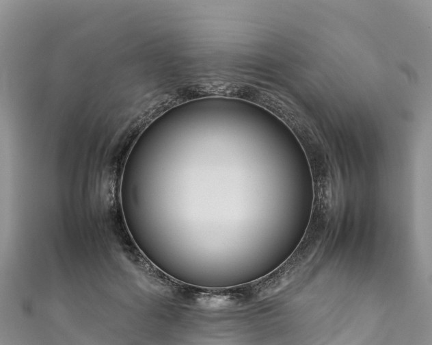 X0000111190602200907081257