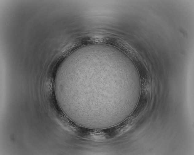 X0000111190603200907081257