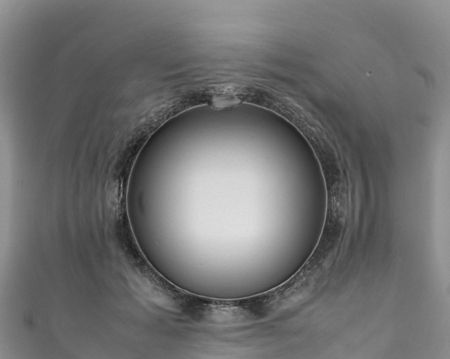 X0000111190605200907081257