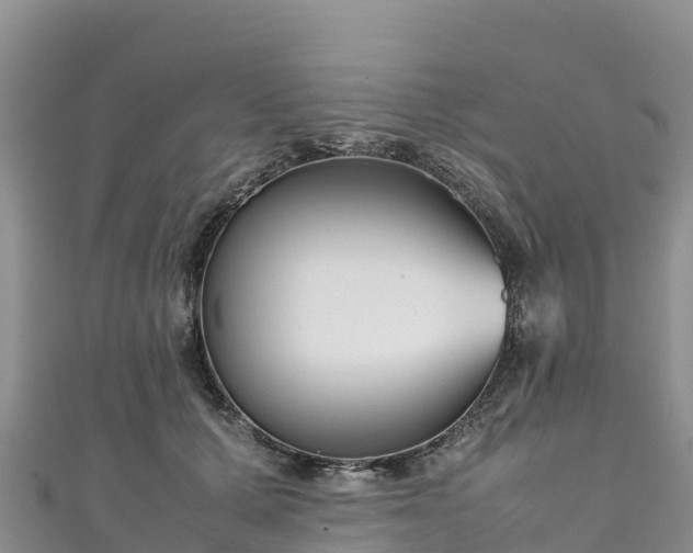 X0000111190607200907081257