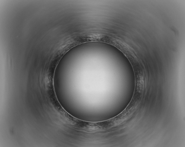 X0000111190608200907081257