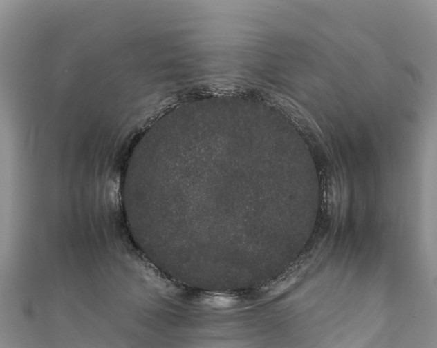 X0000111190610200907081257