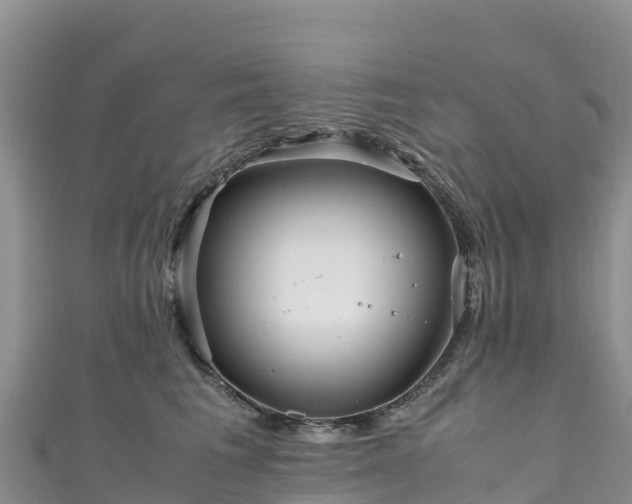 X0000111190613200907081257