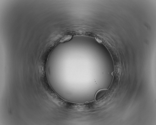 X0000111190615200907081257