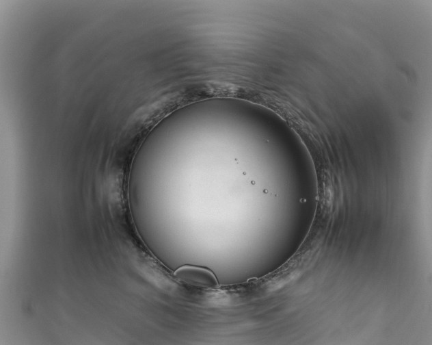 X0000111190616200907081257