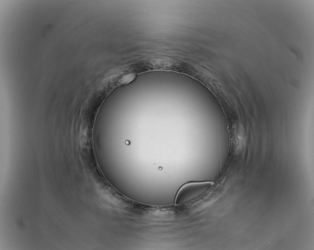 X0000111190619200907081257