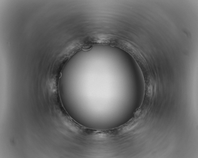 X0000111190620200907081257