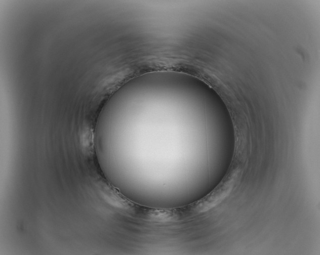 X0000111190624200907081257