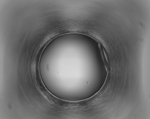 X0000111190626200907081257