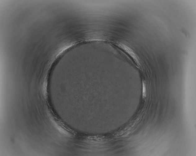 X0000111190627200907081257