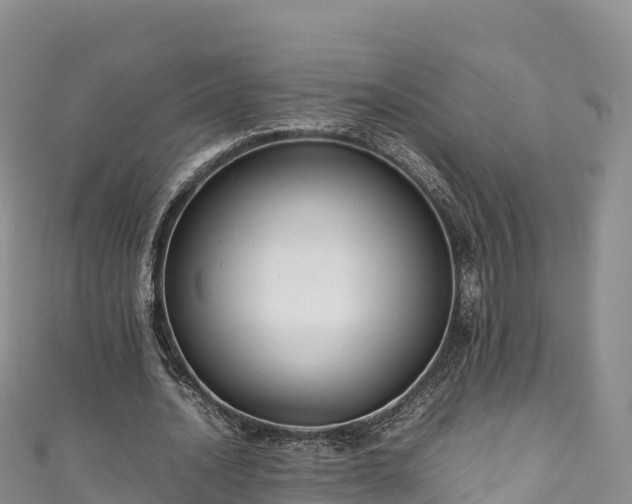 X0000111190628200907081257