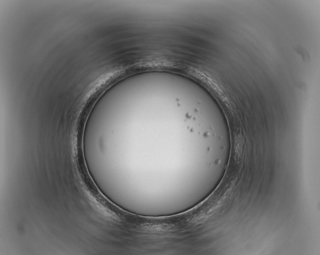 X0000111190629200907081257