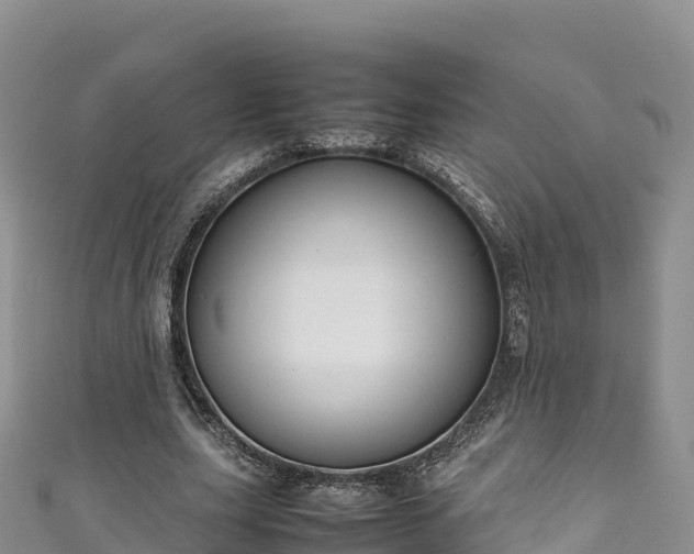 X0000111190631200907081257