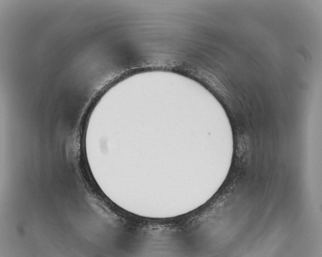 X0000111190632200907081257