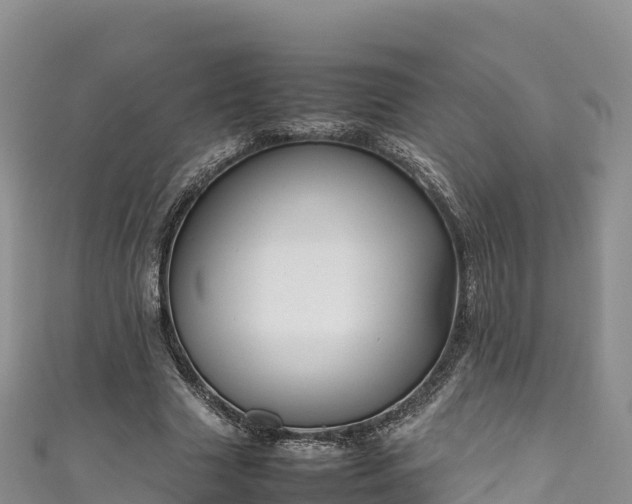 X0000111190633200907081257