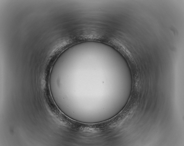 X0000111190635200907081257