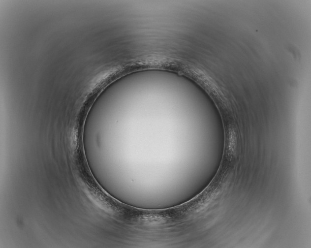 X0000111190636200907081257