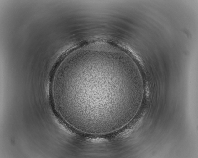 X0000111190637200907081257