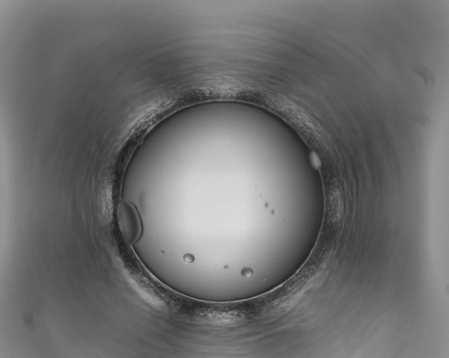 X0000111190638200907081257