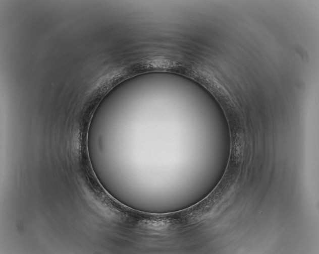 X0000111190639200907081257