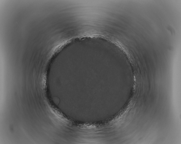 X0000111190640200907081257