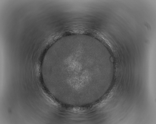 X0000111190641200907081257