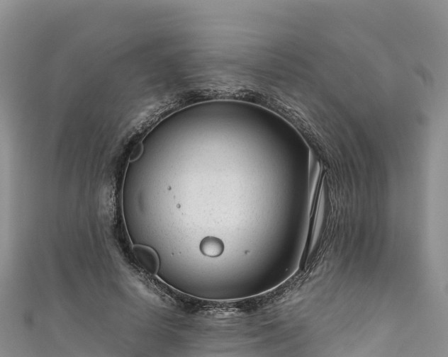 X0000111190642200907081257