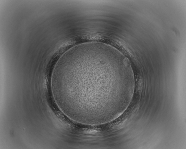 X0000111190643200907081257