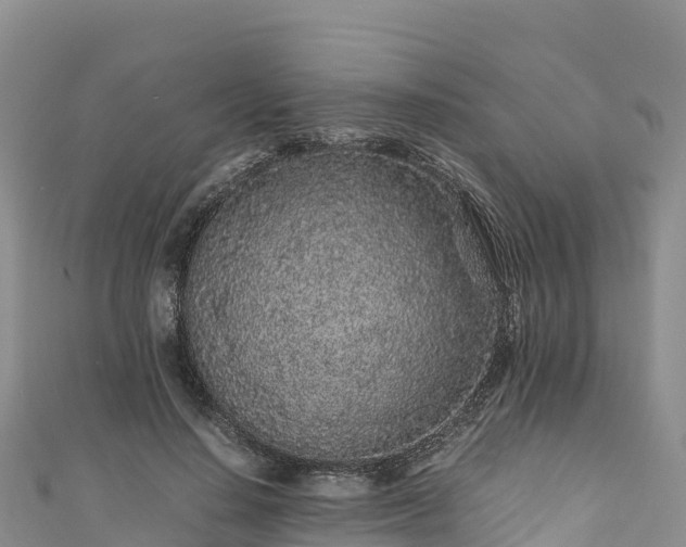 X0000111190644200907081257