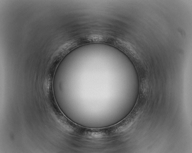 X0000111190645200907081257