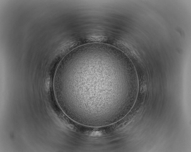 X0000111190647200907081257