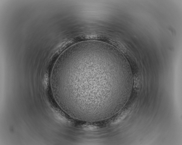 X0000111190648200907081257