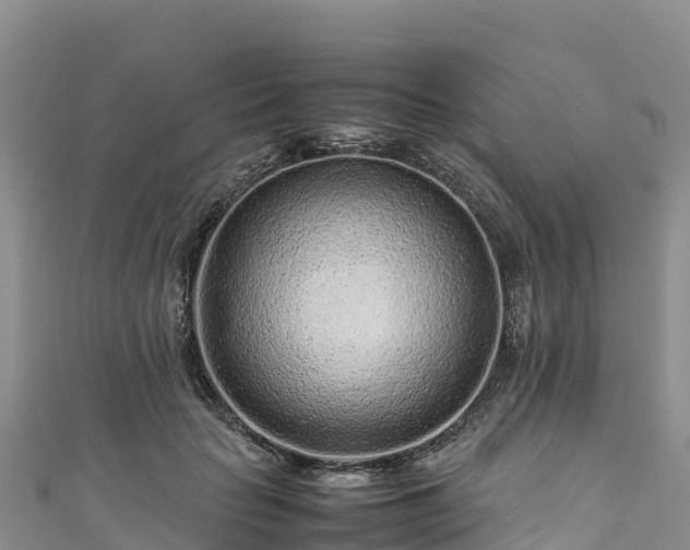 X0000111190653200907081257