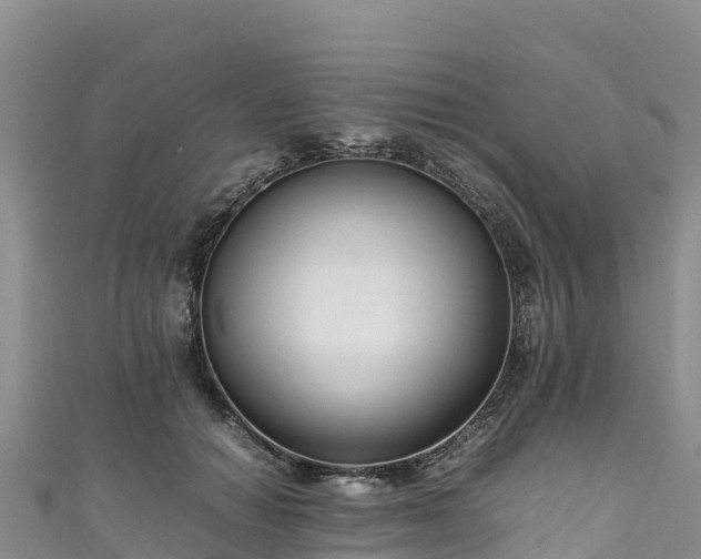 X0000111190654200907081257