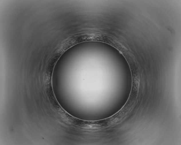 X0000111190657200907081257