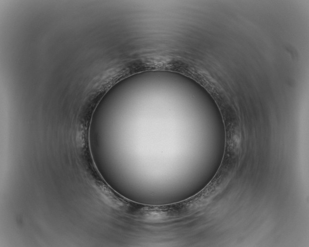 X0000111190658200907081257