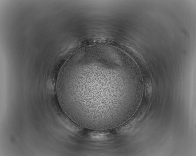 X0000111190661200907081257