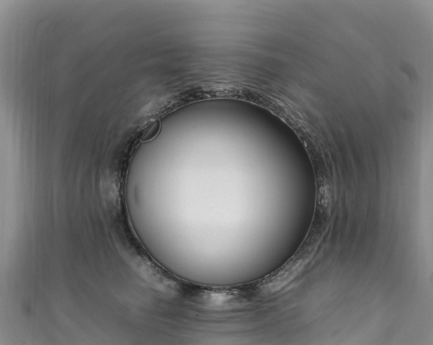 X0000111190662200907081257