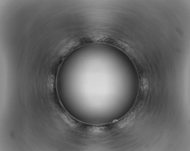 X0000111190664200907081257