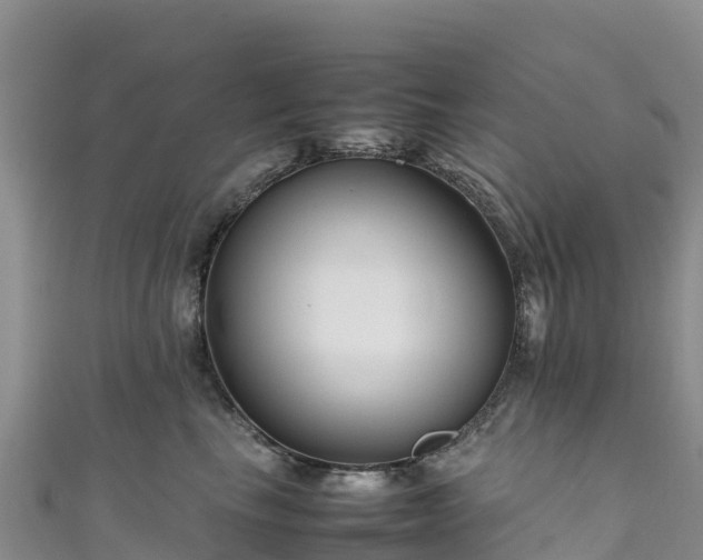 X0000111190665200907081257