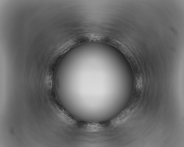 X0000111190666200907081257