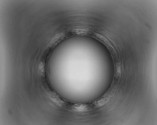 X0000111190667200907081257