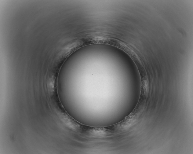 X0000111190668200907081257