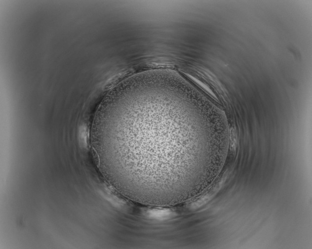 X0000111190669200907081257