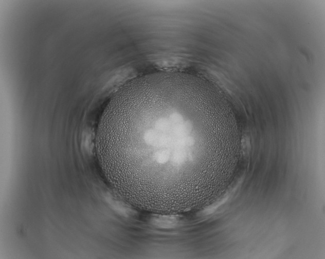 X0000111190671200907081257