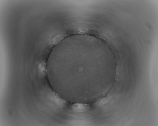 X0000111190672200907081257