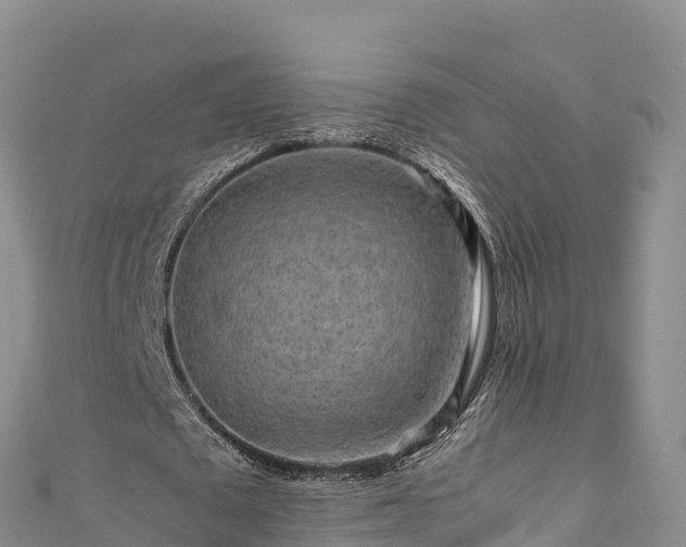 X0000111190673200907081257